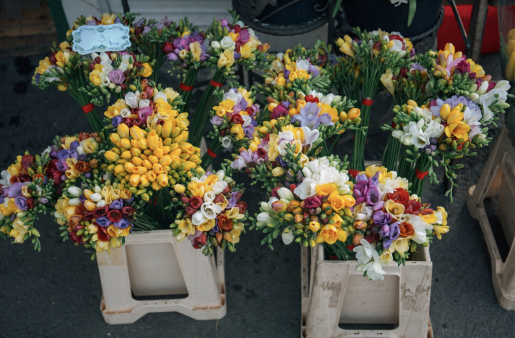 Flowers in Dubai